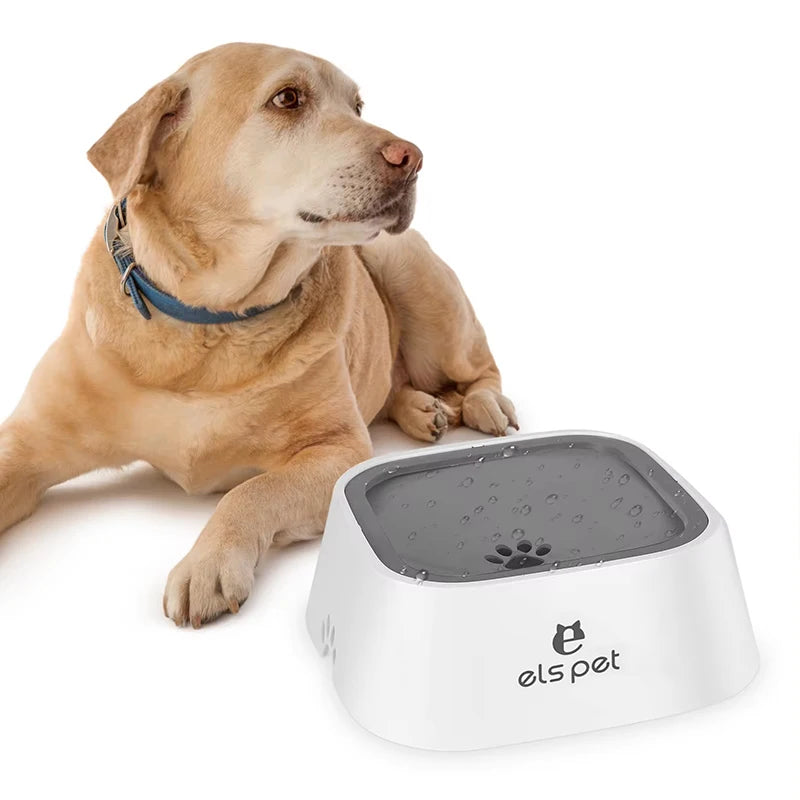 Gamelle Anti-Éclaboussures pour Chien et Chat