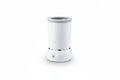 Nettoyeur automatique de pattes pour chien